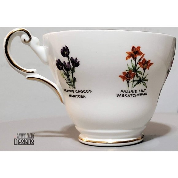 Vintage Royal Darwood fine bone china Teacup, Canada Botanical Gardens, Rare - Picture 2 of 5